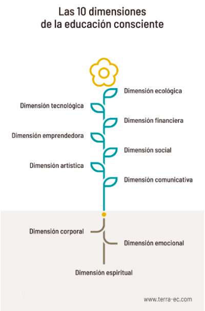 Las 10 Dimensiones De La Educación Consciente