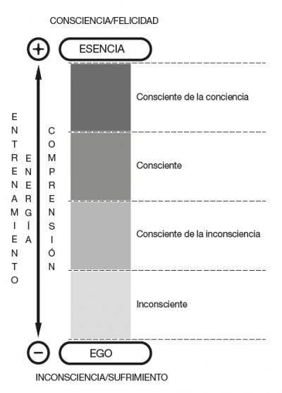 Los Cuatro Niveles De Consciencia - Borja Vilaseca